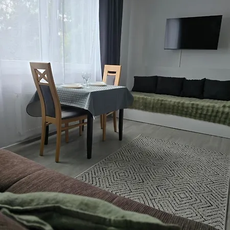 Rhein Living Business Апартаменты *