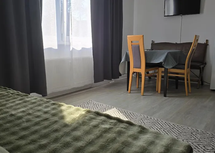 Rhein Living Business Apartment